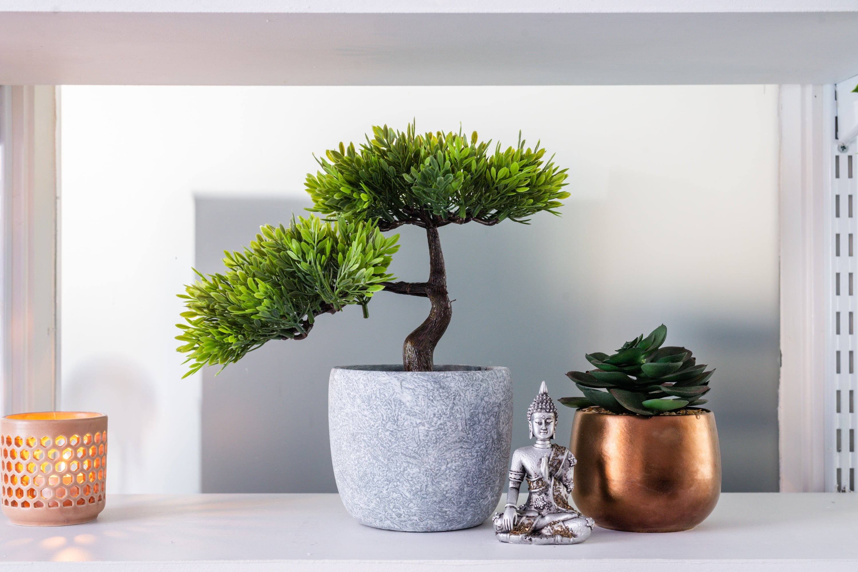 Wellness Environment